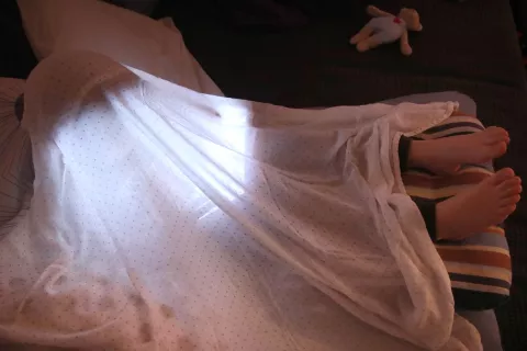 mladi pasti internet otroci / Foto: Gorazd Kavčič