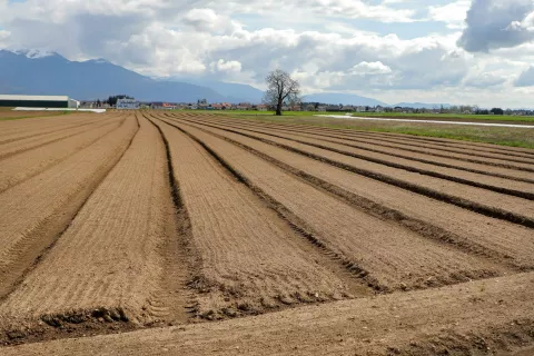 AAG nasprotuje spremembi, ki namerava v &scaron;ir&scaron;o vodovarstveno območje Sor&scaron;ko polje umestiti novo povezovalno cesto med kroži&scaron;čem z Delavsko cesto in &Scaron;kofjelo&scaron;ko cesto ter regionalno cesto Kranj&ndash;&Scaron;kofja Loka. / Foto: Tina Dokl, arhiv Gorenjskega glasa