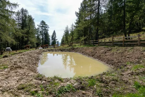Obnovljeni kal na planini Konj&scaron;čica, za katerega skrbi Agrarna skupnost Srednja vas iz Bohinja / Foto: Vesna Stanić, TNP