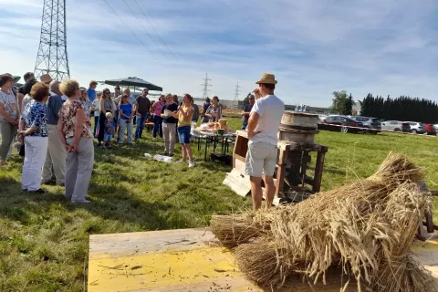 Na šmihelskem prazniku so prikazali pot od žitnega snopa do moke. / Foto: Jože Košnjek