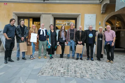 mednarodni festival likovne umetnosti Kranj MFLU / Foto: Tina Dokl