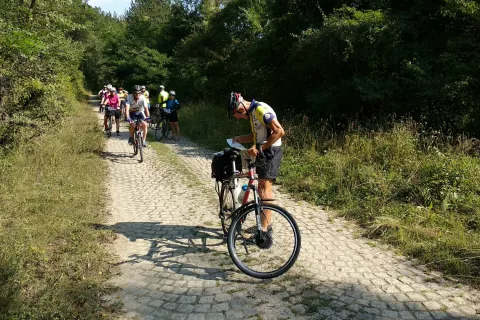 Pot po trasi rimske ceste Via Militaris / Foto: Slavko Zupanc