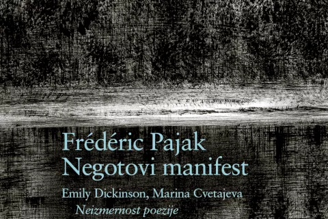 Negotovi manifest / Foto: Miha Naglič