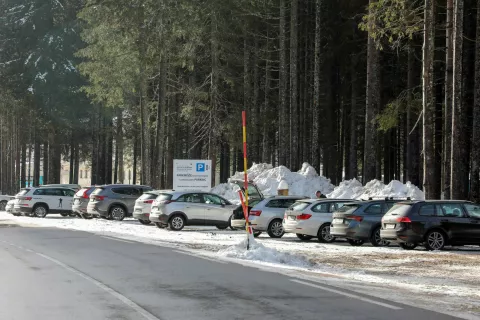 Prometna situacija na Pokljuki je po mnenju zbranih vse prej kot rožnata. Rešitve bodo nujno potrebne za dobrobit narave in tudi ljudi. Fotografija je simbolična. / Foto: Tina Dokl