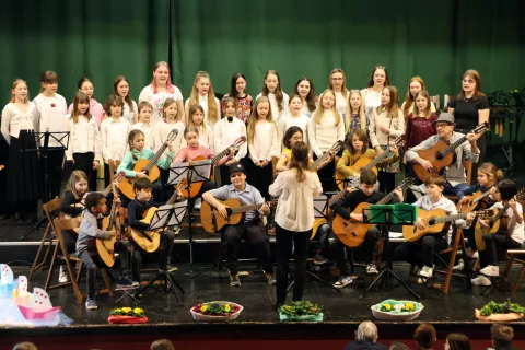 Pevski zbor in orkester kitar Napete strunce / Foto: Foto Boni