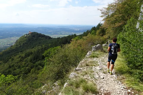 Napolenova pot po kateri sestopimo nazaj na izhodišče. Vidi se cerkev sv. Marije iz 14. stoletja. / Foto: Jelena Justin