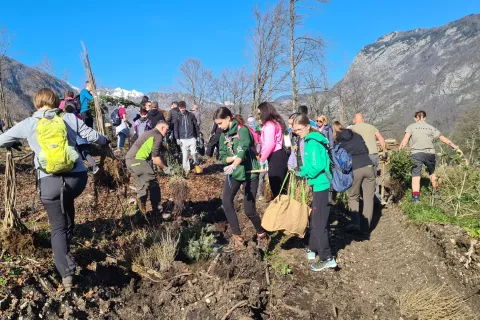 Udeleženci, skupaj jih je bilo okoli dvesto, prihajali pa so posamično in v skupinah, so najprej prevzeli že pripravljene sadike dreves.