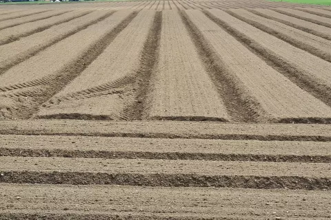 Za kmetije, ki imajo več kot deset hektarjev njiv, veljajo nekatere omejitve. / Foto: Cveto Zaplotnik