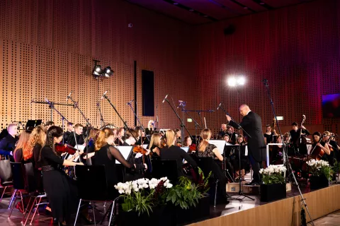 Simfonični orkester Kranj, koncert, Brdo / Foto: Miro Majcen