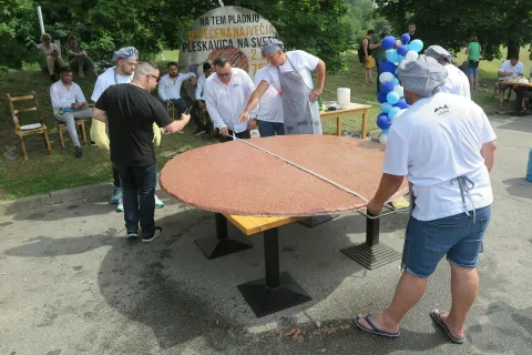 Še surova je imela premer 225 centimetrov. / Foto: Alenka Brun