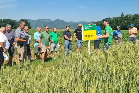Pridelovalci na ogledu poskusa z različnimi sortami ozimnih žit. / Foto: Cveto Zaplotnik