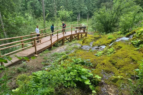 Lehnjakotvorni izvir / Foto: Alenka Brun