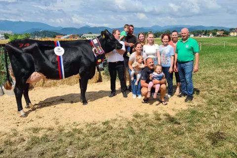 Jerebovi s Količevega pri Domžalah ob kravi, ki je postala šampionka razstave pri črno-beli pasmi in bila najboljša tudi pri izboru za najlepše vime / Foto: Cveto Zaplotnik