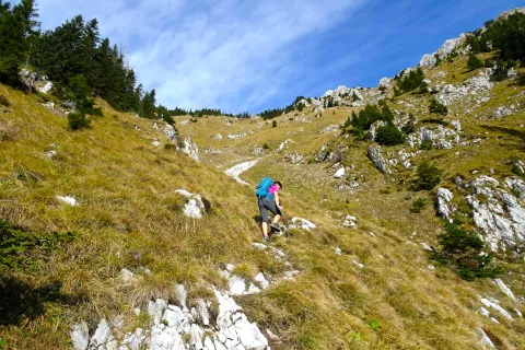 Strmo nad Široko dolino. Kmalu se bo pot obrnila levo. / Foto: Jelena Justin / Foto: 