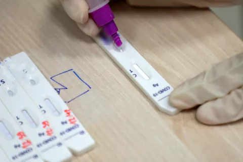 korona epidemija bolezen / Foto: Tina Dokl