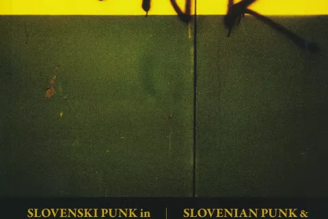 Slovenski punk in fotografija, pregledna razstava, Založba ZRC, Ljubljana, 2023, 130 strani / Foto: 