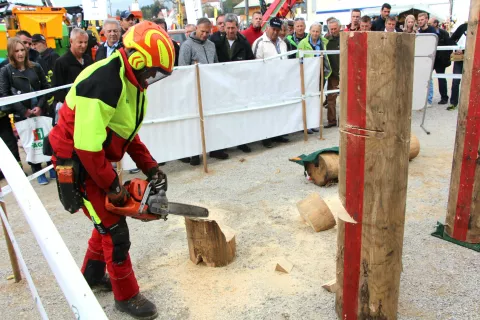 K izboljšanju varnosti pri gozdnih delih je pomembno prispevalo usposabljanje lastnikov gozdov, ki ga izvaja Zavod za gozdove. / Foto: Cveto Zaplotnik / Foto: 