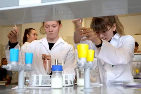 Ministrstvo za vzgojo in izobraževanje je na svoji spletni strani objavilo stanje prijavljenih kandidatov za vpis v začetni letnik srednješolskih programov za prihodnje šolsko leto. Fotografija je simbolična. / Foto: Gorazd Kavčič / Foto: 