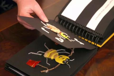 Tipne slikanice niso izjemnega pomena le za slepe in slabovidne otroke, pač pa tudi za polnočutne. Avtorica tipanke na sliki je Lea Papler. Podarila jo je Čebelarskemu muzeju Radovljica. / Foto: Gorazd Kavčič / Foto: 