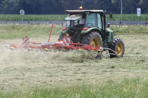 zajčja mrzlica Sor&scaron;ko polje ko&scaron;nja trave trava obračalnik travnik zajec kunc kmet traktor / Foto: Gorazd Kavčič