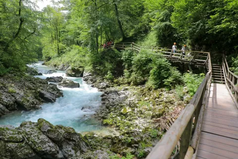 Javni zavod Triglavski narodni park je 8. julija objavil namero o sklenitvi skrbniške pogodbe za naravno vrednoto državnega pomena, sotesko Vintgar. / Foto: Tina Dokl