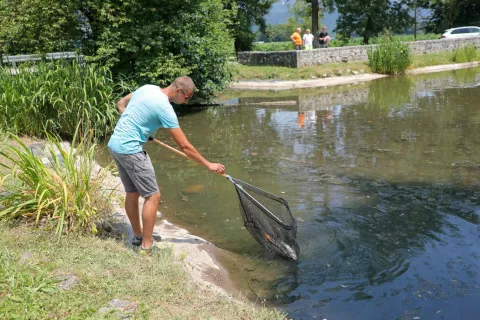 Poginule ribe so iz zadrževalnika Srednja vas ribiči že odstranili. / Foto: Tina Dokl