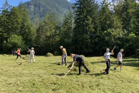 Sodelujoči so potrdili, da je košnja grbinastih travnikov zelo zahtevna. / Foto: JZ TNP