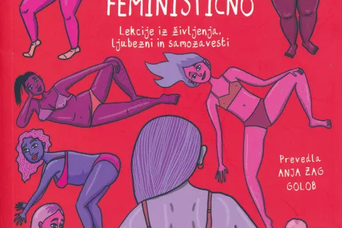 Flo Perry, Kako seksati feministično, vodnik v stripu, prevedla Anja Zag Golob, VigeVageKnjige, Ljubljana, 2024, 147 strani / Foto: 