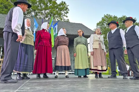 Folklorno-zabavna prireditev Večer na vasi / Foto: Arhiv Društva