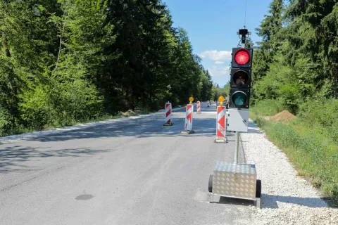 Na regionalni cesti Medvode–Kranj gradijo deset podhodov za dvoživke. / Foto: Tina Dokl