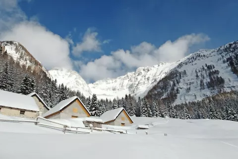 Planina Krni dol, zadaj pa ostenje Poliških Špikov / Foto: Jelena Justin / Foto: 