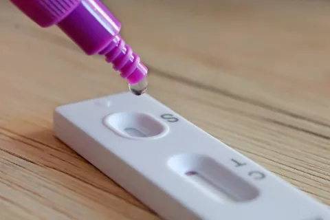 Foto: Gorazd Kavčič / Foto: 