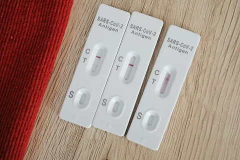 Foto: Gorazd Kavčič / Foto: 