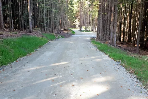 Nova gozdna cesta nad Ribčevo planino v gozdnogospodarski enoti Jelovica / Foto: 