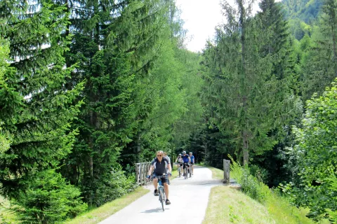 Kolesarska pot od Rateč do Kranjske Gore je kot del turistične ponudbe zaživela leta 2001, kasneje pa so jo razširili, je zelo priljubljena med domačimi in tujimi obiskovalci. / Fototeka Gorenjskega muzeja / Foto: 