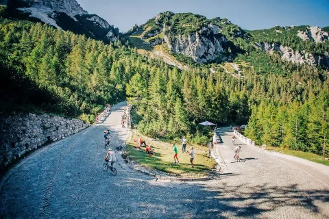 Trasa: 13,5 kilometra iz Kranjske Gore na prelaz Vršič, 801 metra višinske razlike, maksimalni 10,8-odstotni naklon ...  / Foto: 