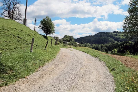 V krajevni skupnosti Tuhinj bodo asfaltirali javno pot Cirkuše v Tuhinju–Veliki Hrib dolžini 604 metre. / Foto: 