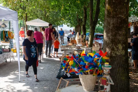 Sejemsko dogajanje v Mengšu / Foto: Aleš Senožetnik