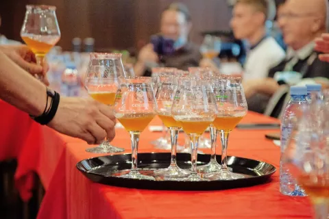 Pivo je najbolj priljubljena alkoholna pijača na svetu. / Foto: 