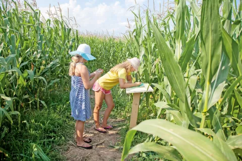 Reševanje različnih nalog je izziv tako za otroke kot za odrasle. / Foto: 