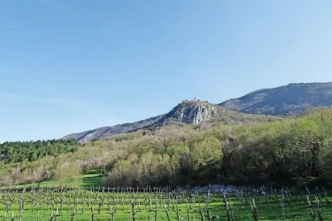 Vitovska cerkev Marijinega vnebovzetja s taborskim obzidjem / Foto: Jelena Justin / Foto: 