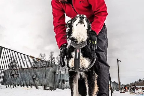 Luka Mušič / Foto: Javier Marven / Foto: 