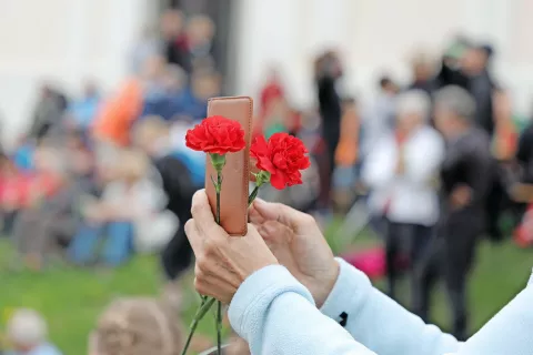 Nagelj za prvi maj, praznik dela / Foto: Tina Dokl / Foto: 