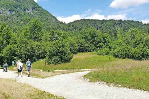 V Bohinju razvoj usmerjajo v povezavo trajnostnega turizma in ekološkega kmetovanja, zaradi česar predstavljajo primer dobre prakse v regiji in širše. / Foto: 