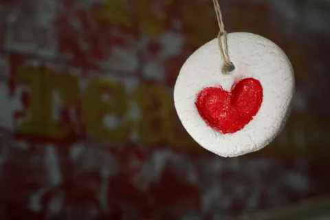 Foto: Gorazd Kavčič / Foto: 