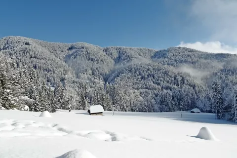 Karavanške senožeti počivajo v tej obilni zimi. Zadaj je Petelinjek. / Foto: Jelena Justin / Foto: 