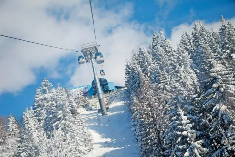 Foto: Aleš Senožetnik / Foto: 