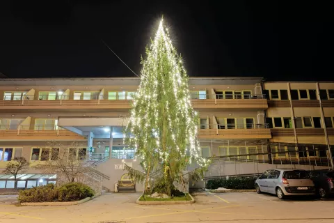 Občani Medvod so v mislih s stanovalci in zaposlenimi DEOS Centra starejših Medvode. Postavili so smreko, ki jo polnijo z okraski in dobrimi mislimi. / Foto: Peter Košenina / Foto: 