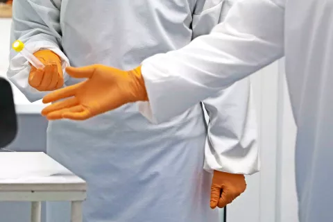 Foto: Gorazd Kavčič / Foto: 