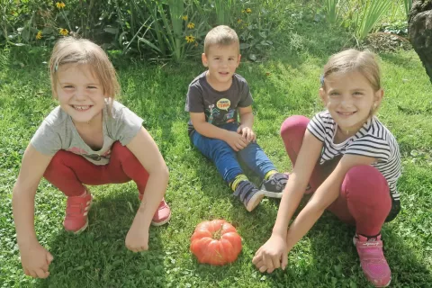 Filipovi vnuki z več kot en kilogram težkim paradižnikom / Foto: 